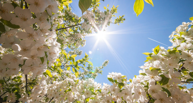 Meteo Sicilia di venerdì 20 marzo 2026: previsioni provincia per provincia