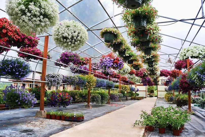 Coronavirus e Florovivaismo, settore bloccato nelle provincie di  Catania e Messina