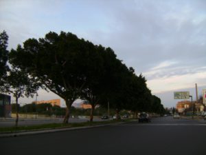 Incidente mortale a Palermo. Un tragico incidente ieri sera a Palermo, la vittima è Domenico...