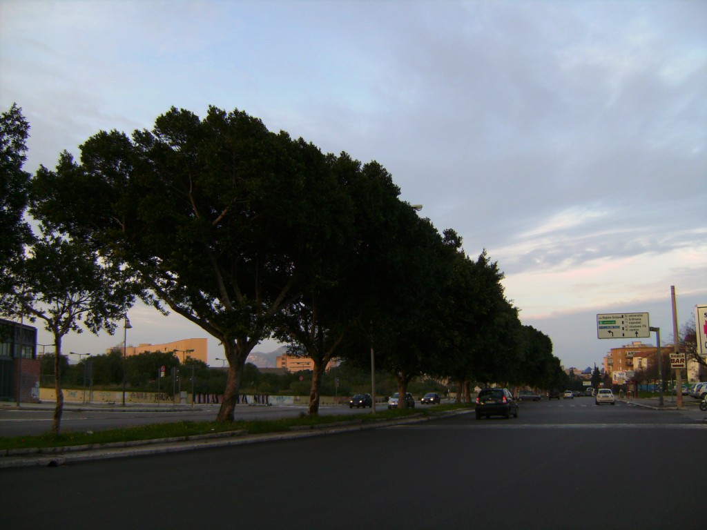 Incidente mortale a Palermo, l’investitore prima fugge poi si consegna