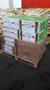 Comunità cinese di Palermo