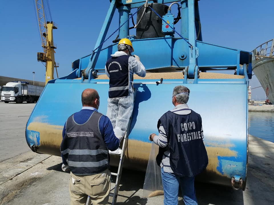 Coronavirus grano duro, controlli su tre navi arrivate a Pozzallo