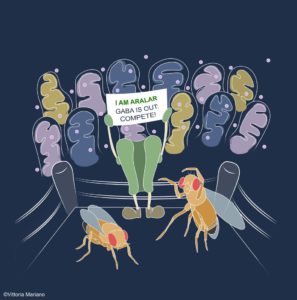 ROMA (ITALPRESS) - Una nuova scoperta potrebbe costituire una possibile strategia terapeutica per...