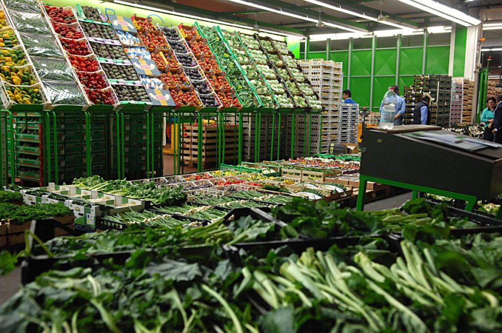 Il settore agroalimentare siciliano ha registrato un forte slancio tra il 2024 e il 2025...