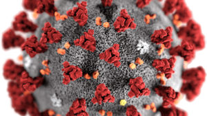 ROMA (ITALPRESS) - Il materiale genetico del virus Sars-Cov-2 puo' essere trovato nelle acque di...