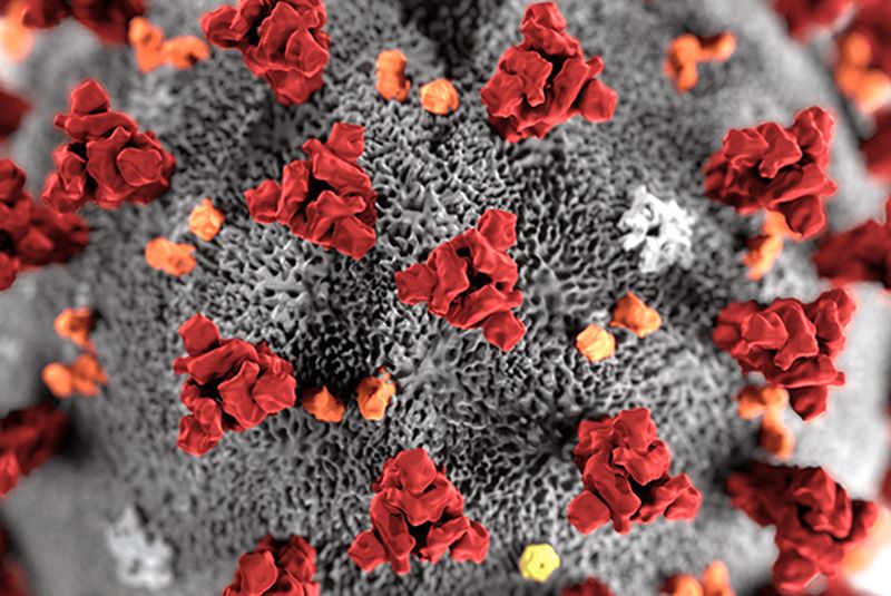 Via libera ad app su Coronavirus, il mancato uso non limita i diritti