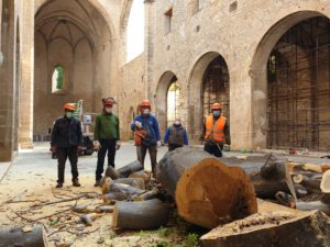 Abbattuto albero dello Spasimo. Questa mattina si è proceduto all'abbattimento dell'albero che si...