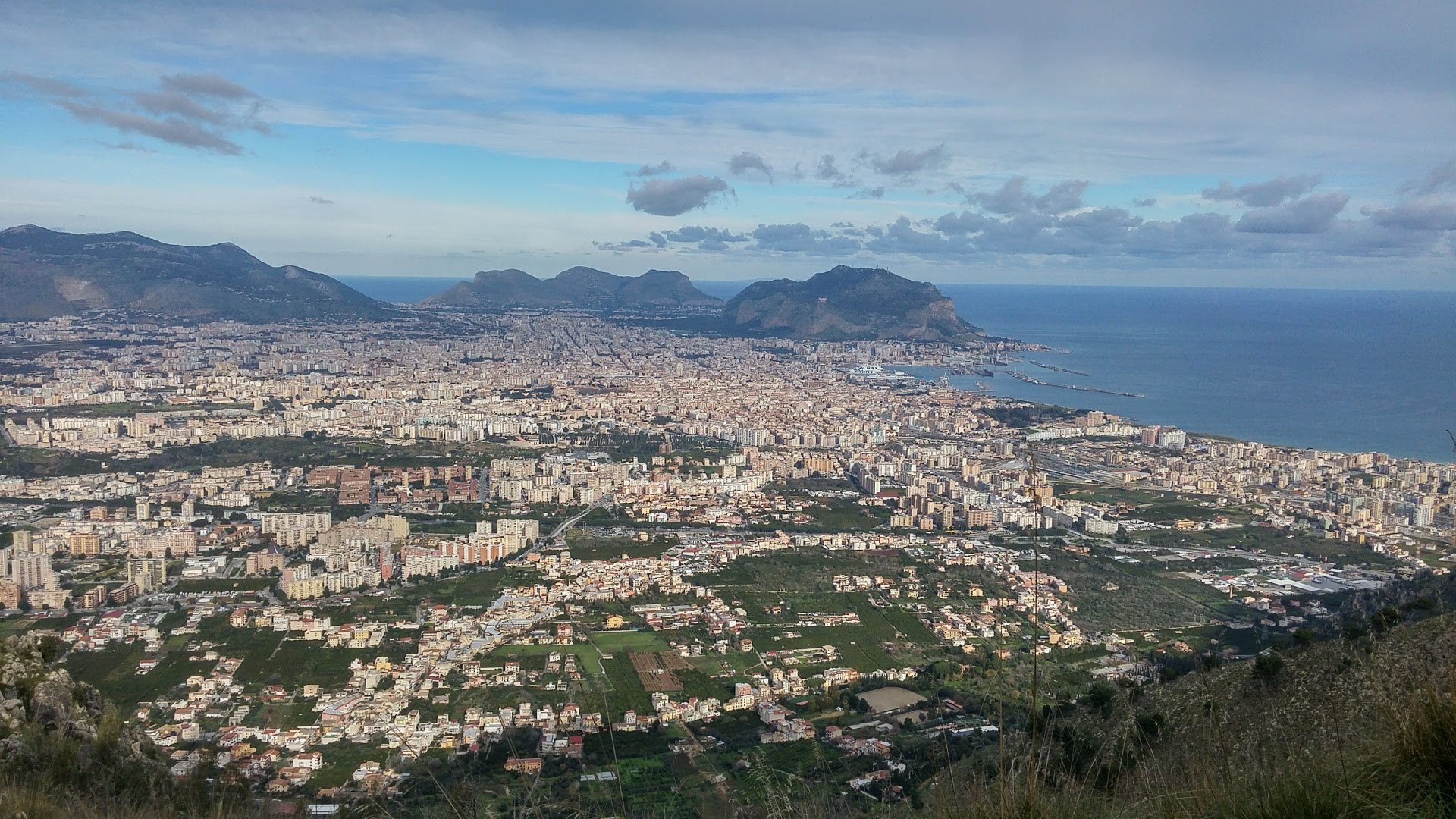 WWF Sicilia al Comune di Palermo: tavolo per gestione del verde in città