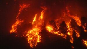 Brucia la provincia di Palermo