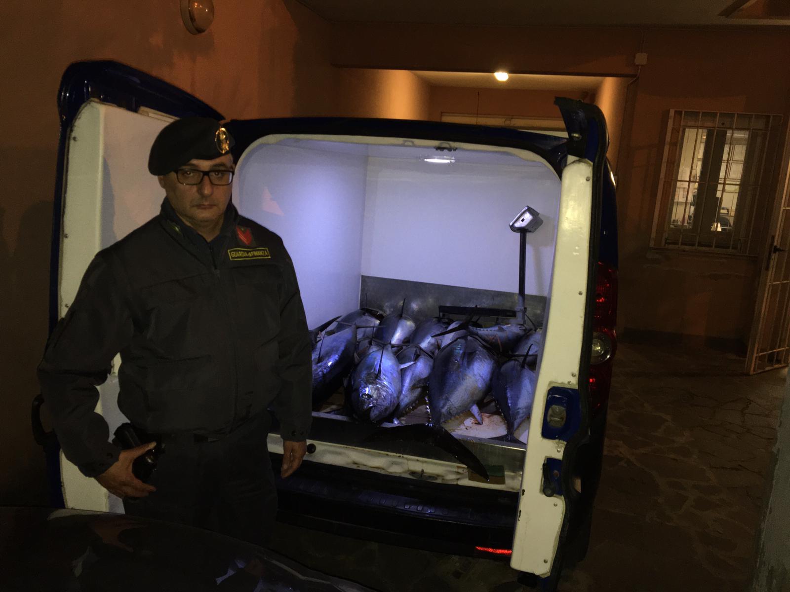 Sequestrati 22 esemplari di tonno rosso a Palermo senza tracciabilità