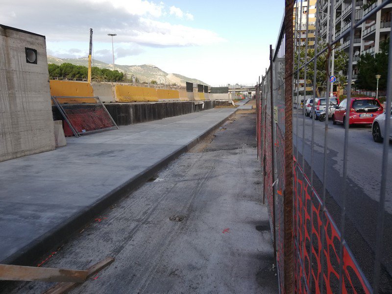 Saranno abbattuti 5 alberi per i lavori in zona viale Francia