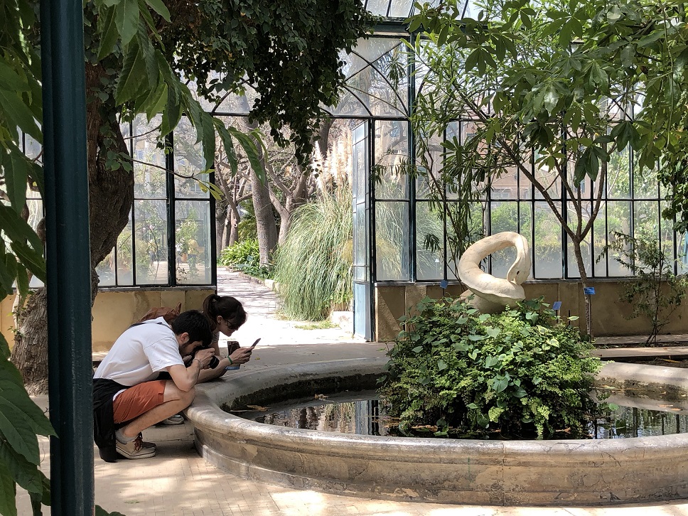 Campus dei piccoli: edizione straordinaria, dal 31 agosto all’11 settembre