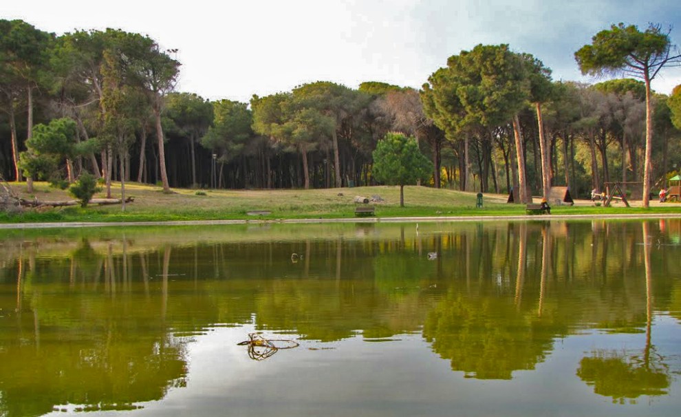 Boschetto della Playa Catania, intesa Comune-Regione per la gestione