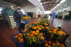 MILANO (ITALPRESS) - Le nuove sfide del settore agroalimentare sono state al centro dell'Assemblea...