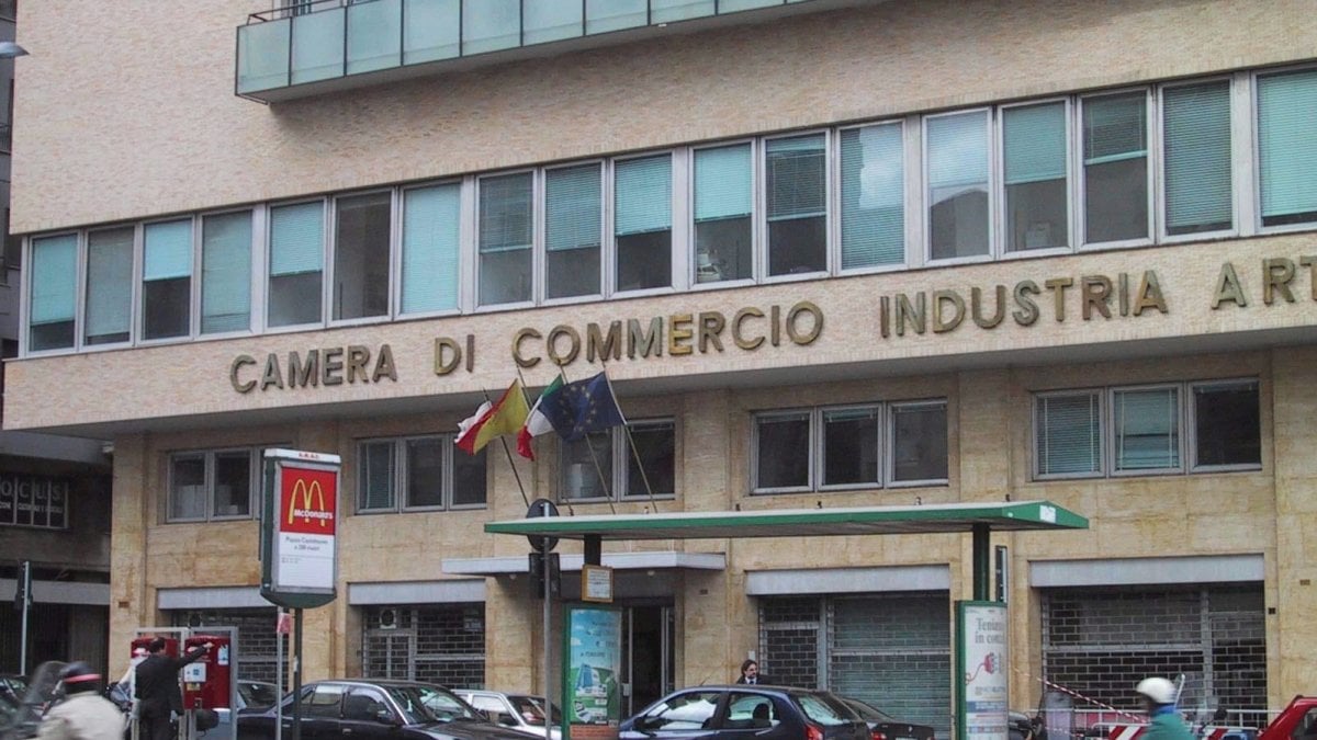 Webinar Camera commercio Palermo Enna con Microsoft Italia a supporto delle imprese