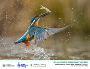 ROMA (ITALPRESS) - E' Samuele Parentella il vincitore della 11a edizione di "Obiettivo Terra" 2020...