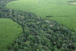ROMA (ITALPRESS) - La natura e' il miglior alleato per salvare il pianeta dalla catastrofe...