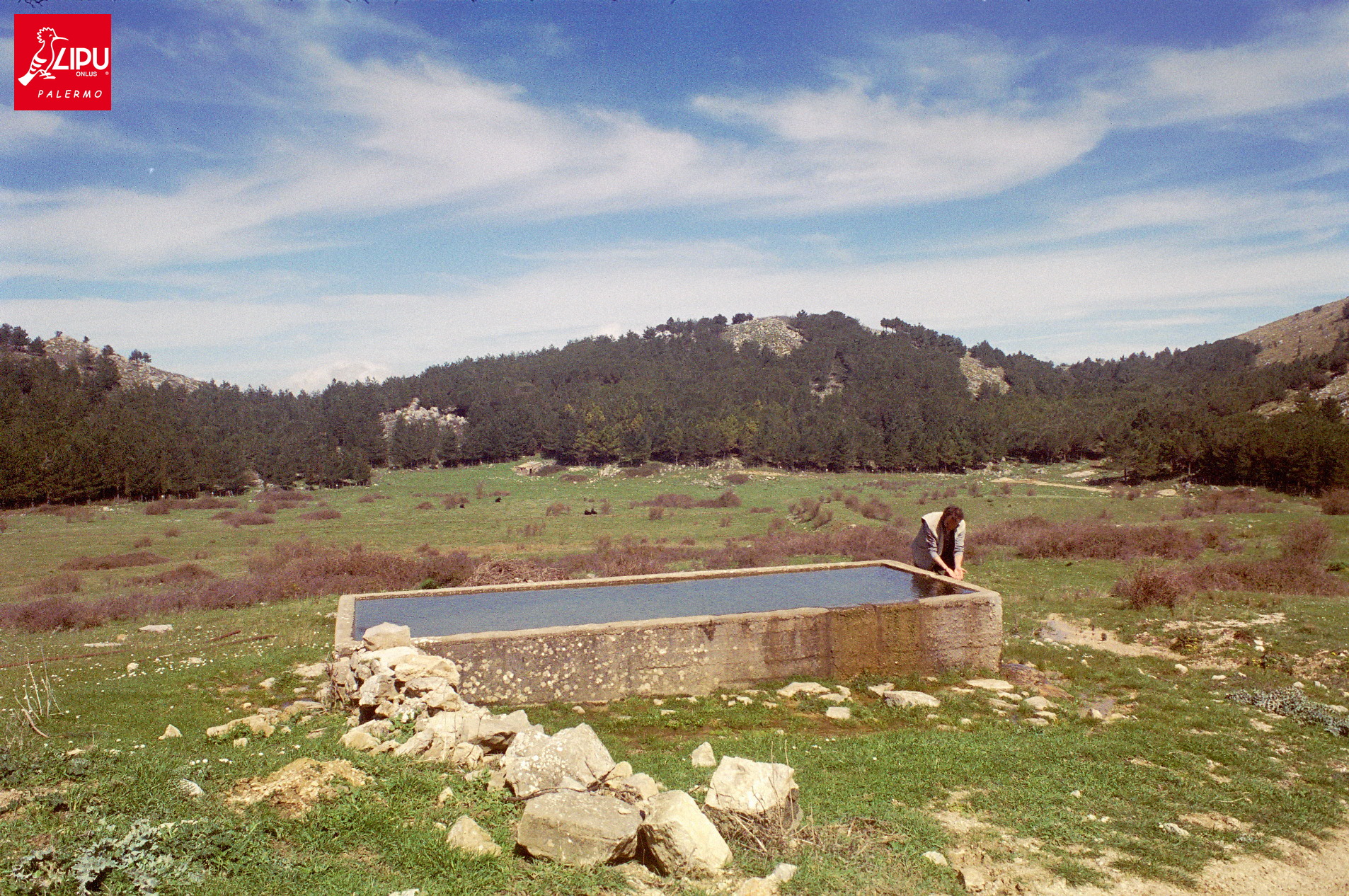 Escursione Lipu a Giacalone all’imbrunire domenica 5 luglio, con cena a sacco
