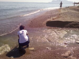 Goletta Verde di Legambiente in Sicilia. La Sicilia sarà protagonista della dodicesima tappa del...