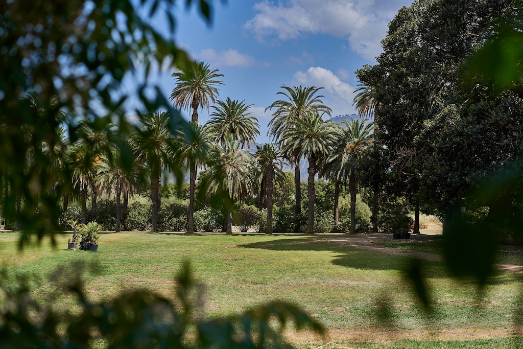 Il Parco di Villa Tasca apre le porte: Open Day domenica 12 luglio