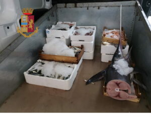 Donati 70 kg di pesce. Si è svolta nelle scorse ore una capillare serie di controlli amministrativi...