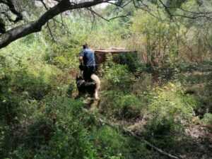 MESSINA (ITALPRESS) - "Cinque ore di lavoro di un volontario rispetto a 15 giorni di 70 uomini...