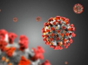 ROMA (ITALPRESS) - "Da oggi inizia una fase della ricerca assolutamente nuova". Così il presidente...