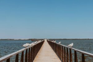 MILANO (ITALPRESS) - Tornare a viaggiare, a riscoprire le meraviglie dell'Italia, a sorridere ed...