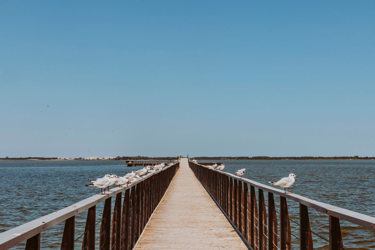 Al via “Rivedere il blu”, iniziativa all’insegna del turismo italiano