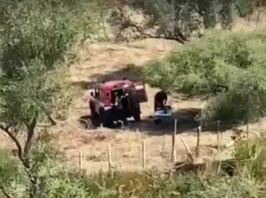 MESSINA (ITALPRESS) - Un nuovo sopralluogo sarà condotto oggi nei boschi di Caronia, nel messinese...