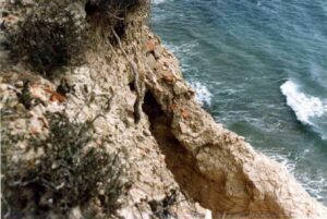 Dissesto idrogeologico