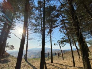 Una Montagna di Luoghi. Dal 12 al 15 agosto a Gangi la natura si fa palcoscenico. La nuova edizione...