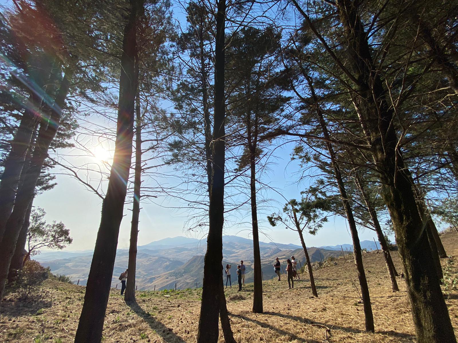Una Montagna di Luoghi, parte la nuova edizione del festival letterario a Gangi