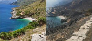 Riserva dello Zingaro, sabato 14 marzo riapre dopo l’incendio dell’estate scorsa