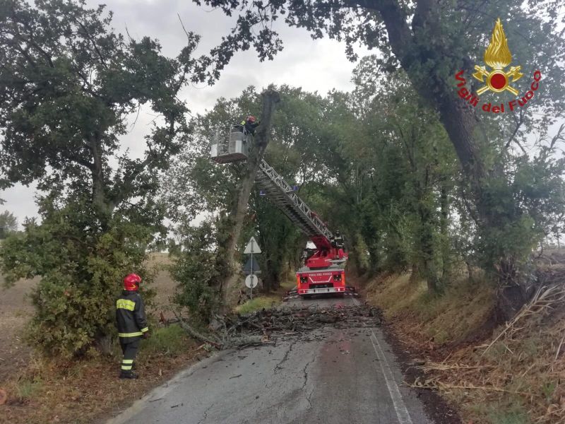 Maltempo, oltre mille interventi dei vigili del fuoco in tutta Italia
