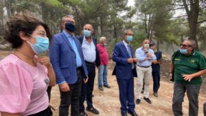 Incendio ad Altofonte