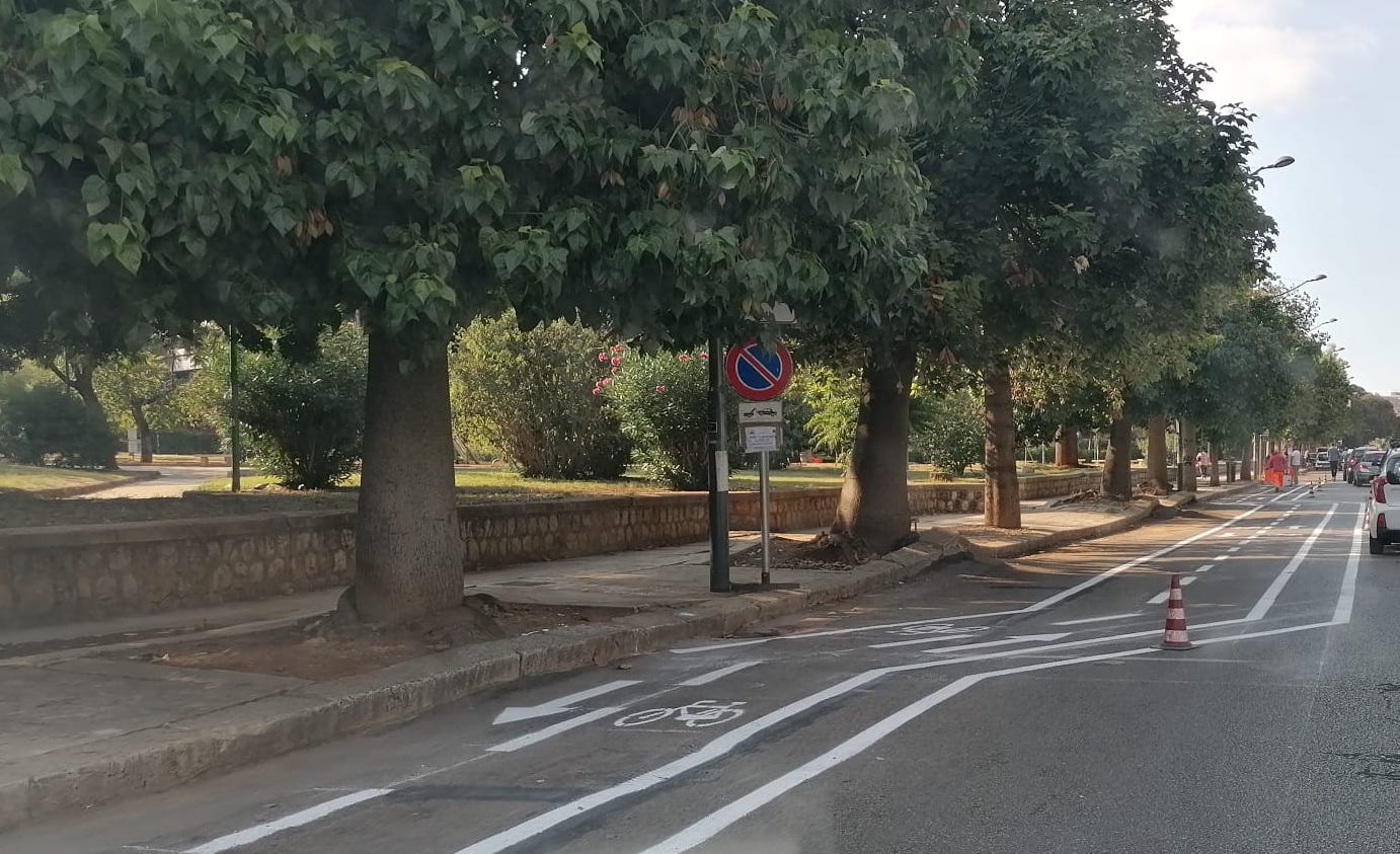 Piste ciclabili a Palermo, protesta l’opposizione: “Opere inadeguate”