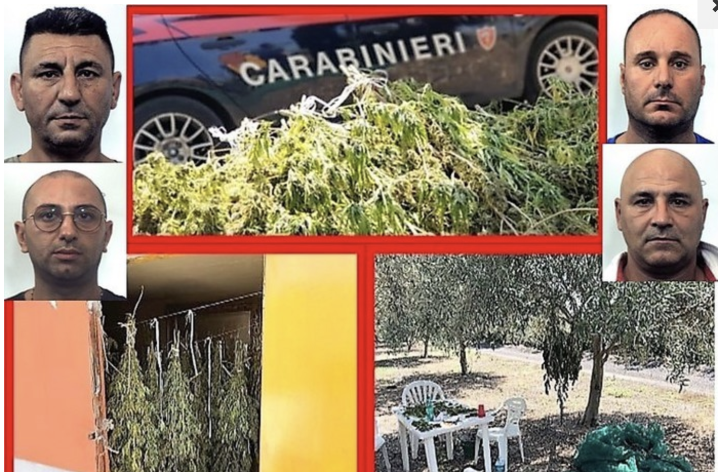 Blitz a Paternò, sequestrati 70 kg di marijuana al clan Morabito-Rapisarda
