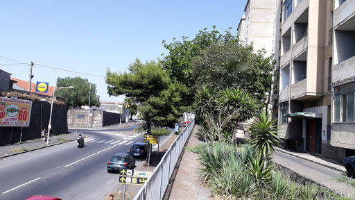 Nuovi alloggi Iacp a Catania, saranno realizzati in Corso Indipendenza