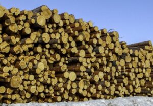 MILANO (ITALPRESS) - L'industria italiana del legno-arredo è prima in Europa in economia circolare...