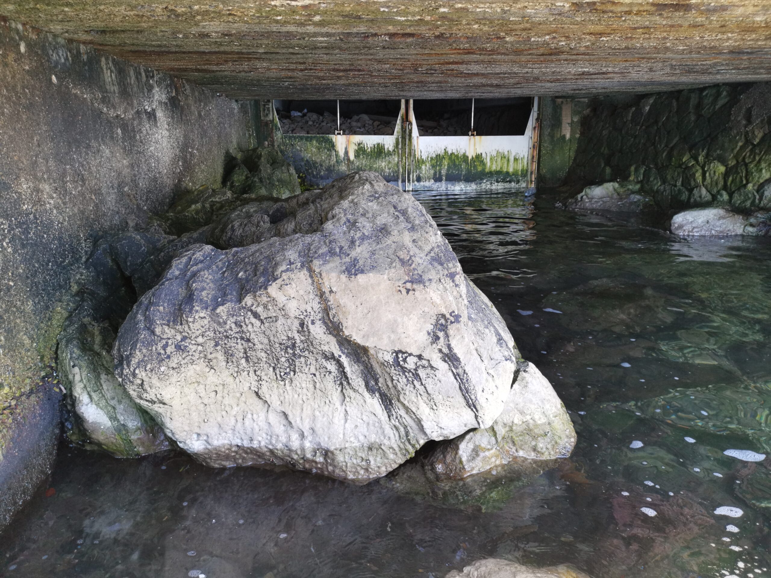 Al via la rimozione di detriti dal canale Ferro di Cavallo a Mondello