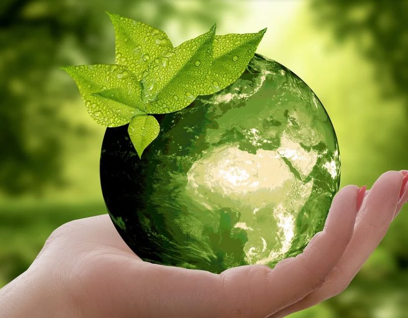 Un terzo delle famiglie evita di acquistare prodotti non sostenibili