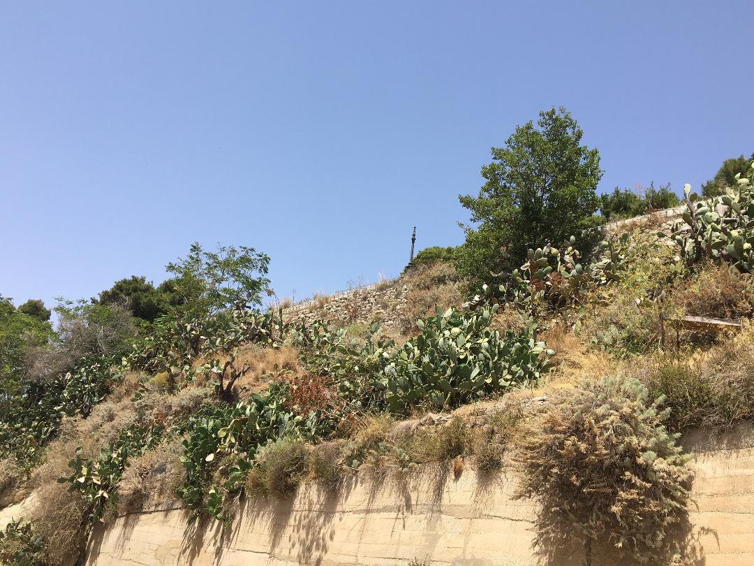 Calatafimi Segesta, interventi della Regione per consolidare il Belvedere