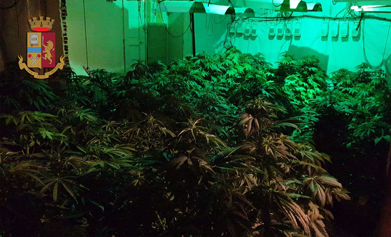 Coltivazione di marijuana in casa a Palermo, tre arresti