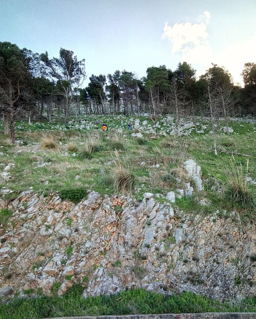 Montelepre (Pa), affidata la progettazione per la Sp1