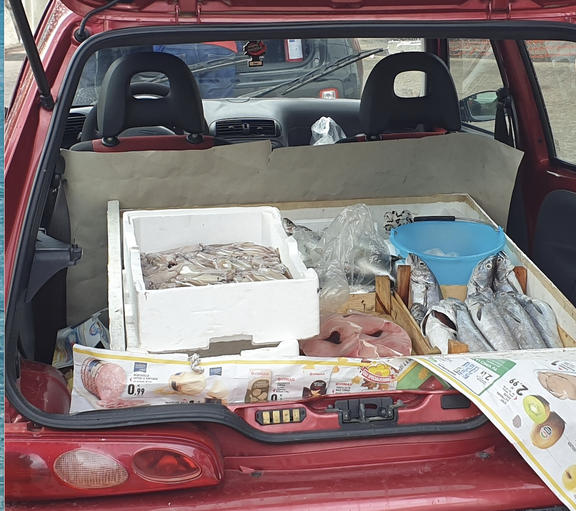 Sequestrato pesce nel palermitano e donato in beneficienza