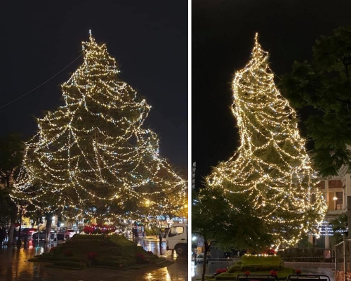 L’albero di Natale di Palermo: dritto o storto è protagonista