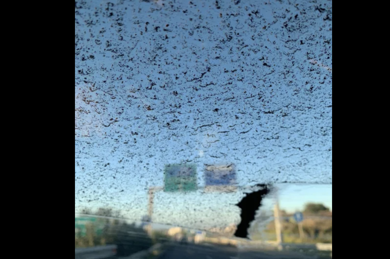 Eruzione di cenere dall’Etna, Catania si sveglia tutta nera