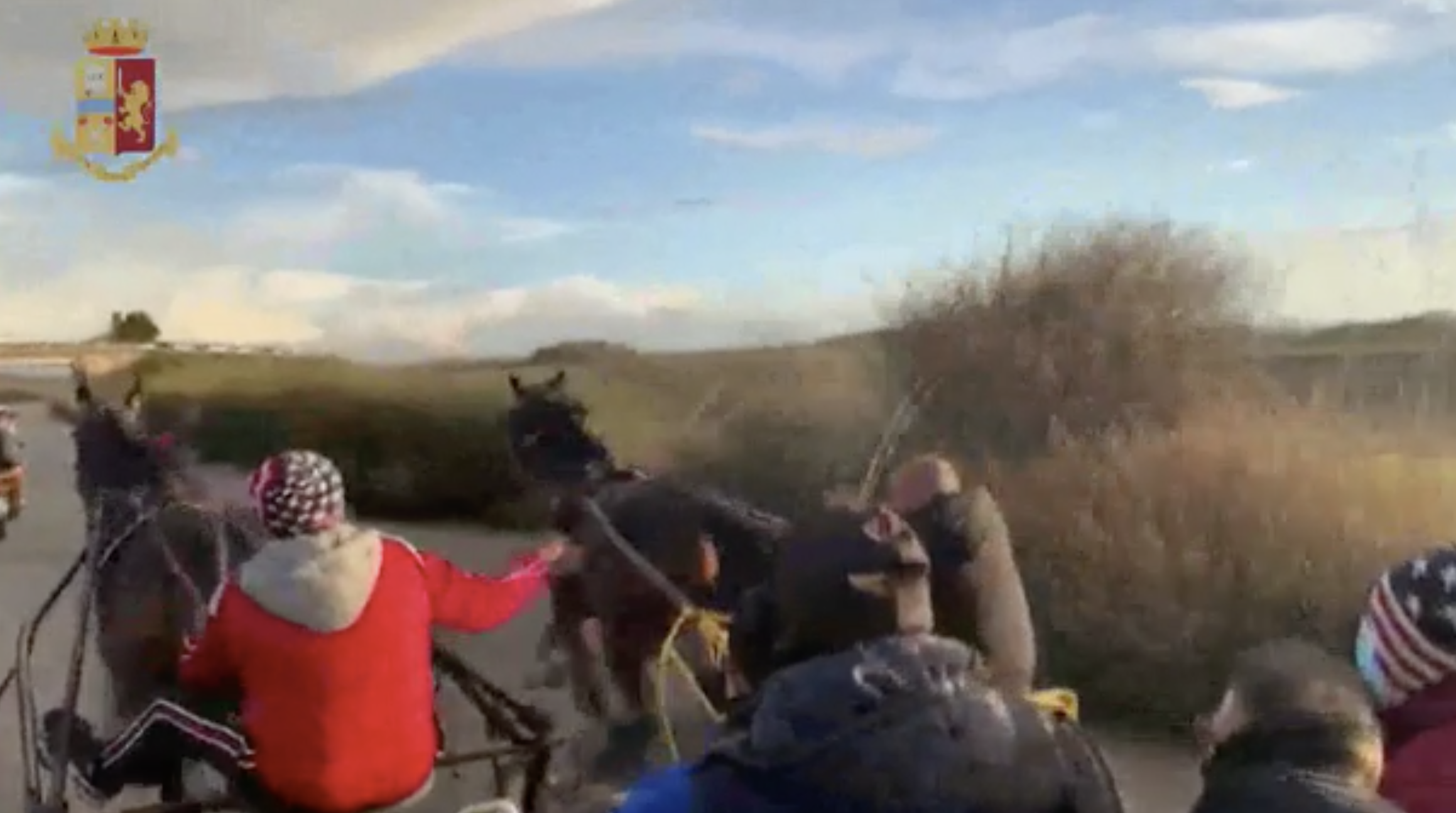 Corsa clandestina di cavalli, 38 denunce nell’agrigentino