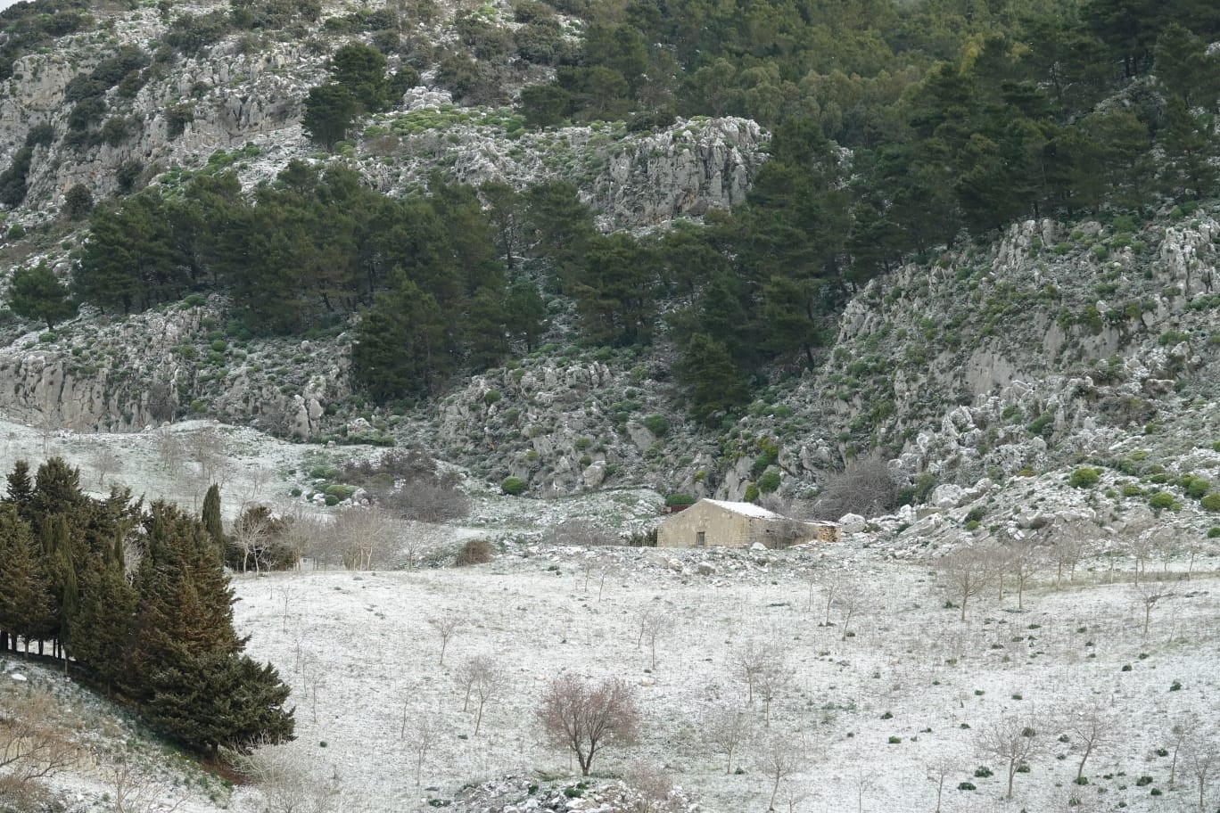 Neve e gelo in Sicilia, disagi e strade ghiacciate in molte zone